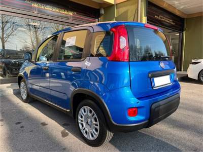 Fiat Panda 1.0 Hybrid Blu/Azzurro usata Cantù
