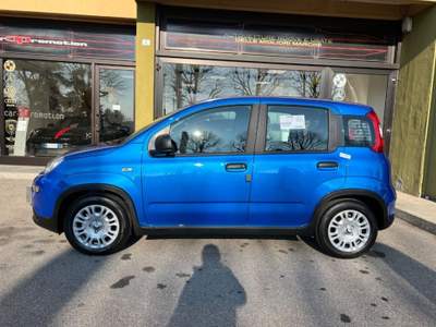 Fiat Panda 1.0 Hybrid Blu/Azzurro usata Cantù