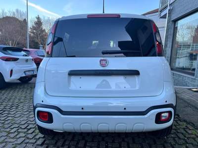 Fiat Panda 1.0 FireFly S&S Hybrid Pandina Bianco usata Rivoli