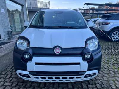 Fiat Panda 1.0 FireFly S&S Hybrid Pandina Bianco usata Rivoli