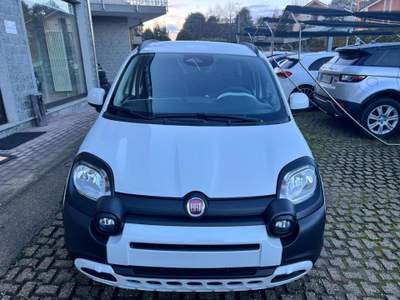 Fiat Panda 1.0 FireFly S&S Hybrid Pandina Bianco usata Rivoli