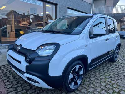 Fiat Panda 1.0 FireFly S&S Hybrid Pandina Bianco usata Rivoli