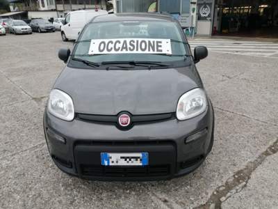 Fiat Panda 1.0 FireFly S&S Hybrid Grigio usata Tolmezzo