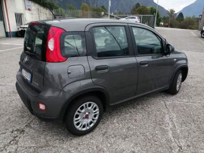 Fiat Panda 1.0 FireFly S&S Hybrid Grigio usata Tolmezzo
