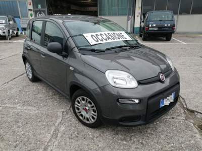 Fiat Panda 1.0 FireFly S&S Hybrid Grigio usata Tolmezzo