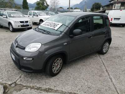Fiat Panda 1.0 FireFly S&S Hybrid Grigio usata Tolmezzo