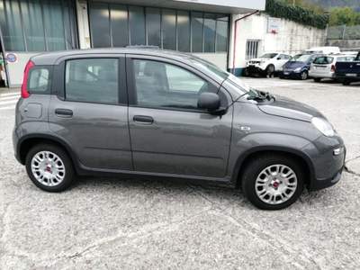 Fiat Panda 1.0 FireFly S&S Hybrid Grigio usata Tolmezzo