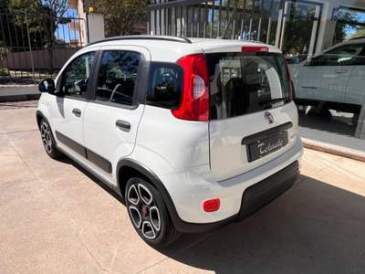 Fiat Panda 1.0 FireFly S&S Hybrid City Life Bianco usata Ghilarza