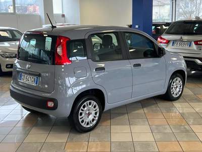 Fiat Panda 1.2 Easy Blu/Azzurro usata Stradella
