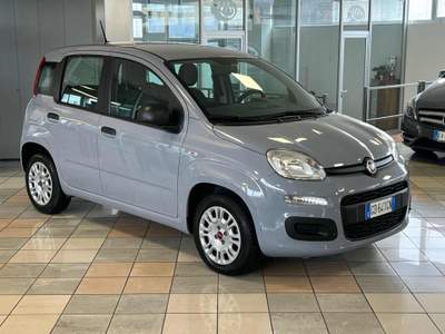 Fiat Panda 1.2 Easy Blu/Azzurro usata Stradella