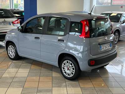 Fiat Panda 1.2 Easy Blu/Azzurro usata Stradella