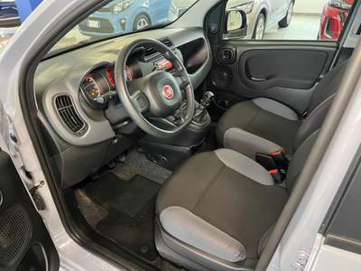Fiat Panda 1.2 Easy Blu/Azzurro usata Stradella