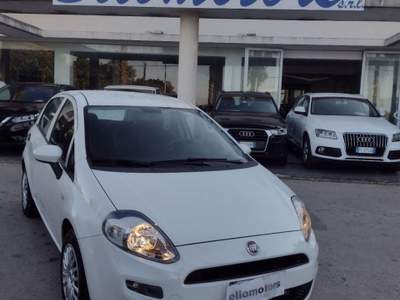 Fiat Punto 1.2 8V 5p. Street Bianco usata Modica