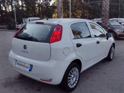 Fiat Punto 1.2 8V 5p. Street Bianco usata Modica
