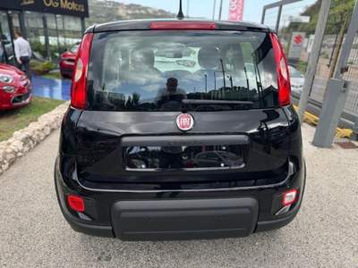 Fiat Panda 1.0 FireFly S&S Hybrid Pandina con ADAS Nero usata Alcamo