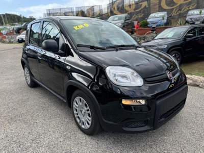 Fiat Panda 1.0 FireFly S&S Hybrid Pandina con ADAS Nero usata Alcamo