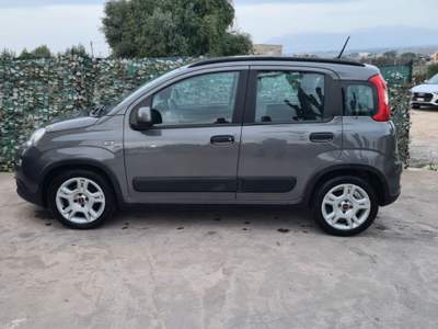 Fiat Panda 1.0 FireFly S&S Hybrid City Hybrid Grigio usata Alcamo
