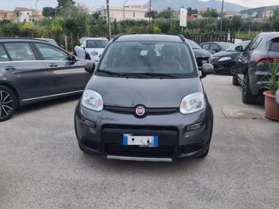Fiat Panda 1.0 FireFly S&S Hybrid City Hybrid Grigio usata Alcamo