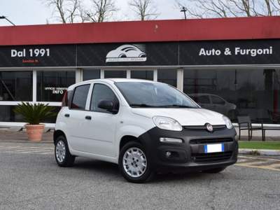 Fiat Panda Van 1.2 Autocarro 2 posti 69CV Bianco usata Roma