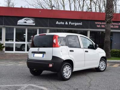Fiat Panda Van 1.2 Autocarro 2 posti 69CV Bianco usata Roma