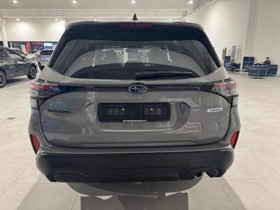 Subaru Forester PREMIUM *** MODEL YEAR 2025 ***IBRIDA/GPL**** Grigio usata Padova
