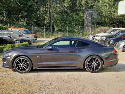 Ford Mustang Fastback 2.3 EcoBoost aut. usata Pesaro