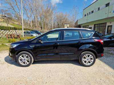 Ford Kuga 2.0 TDCI 120 CV S&S 2WD Business Nero usata Pesaro