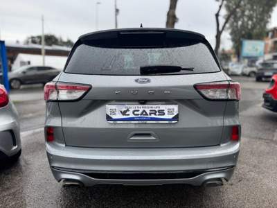 Ford Kuga 2.0 EcoBlue 120 CV aut. 2WD ST-Line X *UNIPRO* Grigio usata Roma