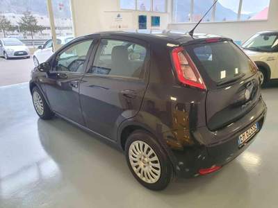 Fiat Punto Evo 1.2 5 porte S&S Active Nero usata Longarone