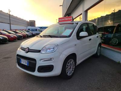 Fiat Panda 1.0 FireFly S&S Hybrid Bianco usata Magenta