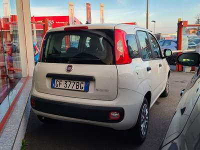 Fiat Panda 1.0 FireFly S&S Hybrid Bianco usata Magenta