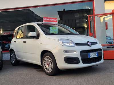 Fiat Panda 1.0 FireFly S&S Hybrid Bianco usata Magenta