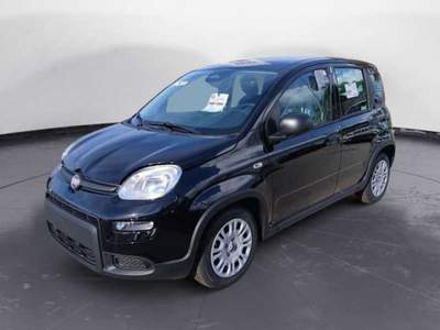 Fiat Panda 1.0 70cv Hybrid Nero usata Arzachena