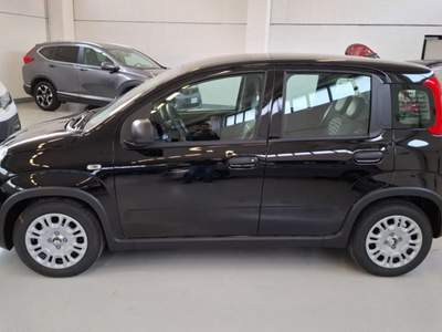 Fiat Panda 1.0 FireFly S&S Hybrid Nero usata Palazzolo sull'Oglio