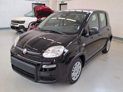 Fiat Panda 1.0 FireFly S&S Hybrid Nero usata Palazzolo sull'Oglio
