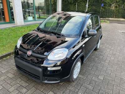 Fiat Panda 1.0 Hybrid MY25 FULL ADAS Nero usata Cassano d'Adda