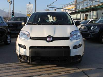 Fiat Panda 1.0 FireFly S&S Hybrid *PackCity* Bianco usata Mazzano