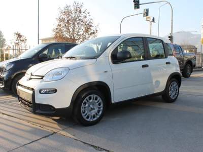 Fiat Panda 1.0 FireFly S&S Hybrid *PackCity* Bianco usata Mazzano