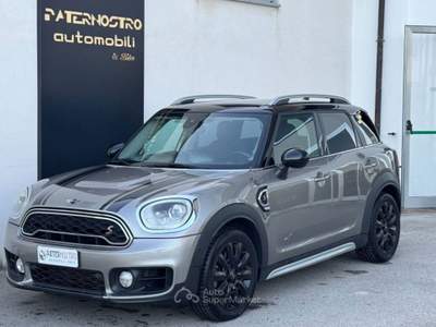 MINI Countryman Countryman 2.0 Cooper S Hype all4 auto Argento usata Senise
