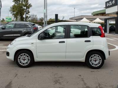 Fiat Panda 0.9 TwinAir Turbo S&S Easy Dualogic Bianco usata Fondi