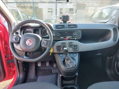 Fiat Panda Panda Cross 1.0 FireFly SeS Hybrid (51 kW) Rosso usata Pozzuoli