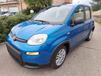 Fiat Panda 1.0 FireFly S&S Hybrid Blu/Azzurro usata Grottaminarda