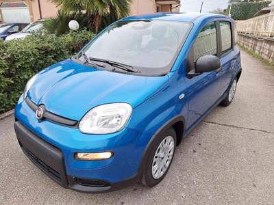 Fiat Panda 1.0 FireFly S&S Hybrid Blu/Azzurro usata Grottaminarda