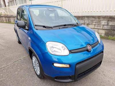 Fiat Panda 1.0 FireFly S&S Hybrid Blu/Azzurro usata Grottaminarda