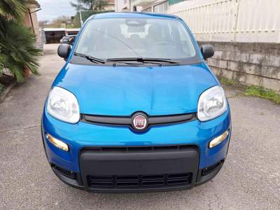Fiat Panda 1.0 FireFly S&S Hybrid Blu/Azzurro usata Grottaminarda