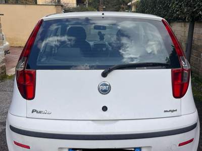 Fiat Punto punto 1.3 multijet Bianco usata Olbia