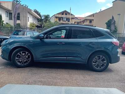 Ford Kuga 1.5 EcoBlue 120 CV 2WD ST-Line Blu/Azzurro usata Mascali