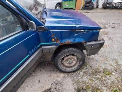 Fiat Panda  Blu/Azzurro usata Riccò del Golfo di Spezia