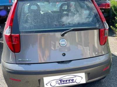 Fiat Punto  usata Riccò del Golfo di Spezia