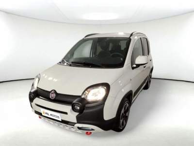 Fiat Panda 1.0 FireFly S&amp;S Hybrid Bianco usata Rosignano Marittimo